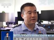 最新！警方透露“胖貓”事件調查細節