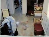 23歲女子與男友爭執后胸口中刀死亡，一審判定男友無罪，家屬發聲