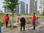 安慶經(jīng)開區(qū)和平村：秸稈禁燒志愿服務在行動