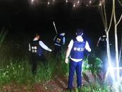 社区回应重庆一公园发现野猪：还有在逃的