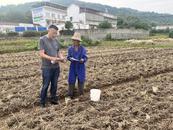 宜秀區羅嶺鎮林春村：秸稈禁燒巡查 助力鄉村振興