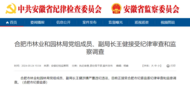 涉嫌严重违纪违法，合肥市一副局长被查