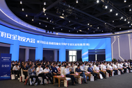 数字政府安全建设大会在合肥高新区举行