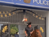 马同学上学途中捡到一匹马 然后悄悄做了件好事