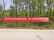 懷寧縣高河鎮(zhèn)開展林草生物防控宣傳周活動