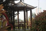 濉溪縣四鋪鎮：深化“千萬工程”經驗 打造宜居宜業和美鄉村新標桿