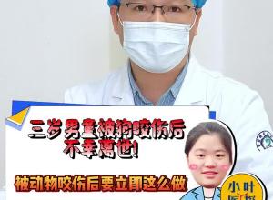 猫抓狗咬高发季来临！专家提醒：关于动物咬伤，你要注意这些