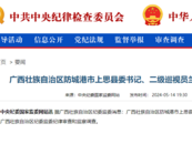 兰宏接受审查调查