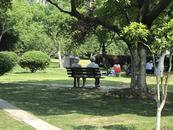 合肥两大型公园“人多椅少” 追踪：新一批休闲座椅已安装