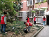 黃莊街道紅旗社區(qū)組織開展環(huán)境衛(wèi)生整治志愿服務活動