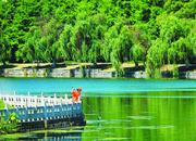 巢湖市區河道“美顏”