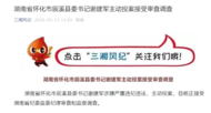 湖南一縣委書記主動投案，接受審查調(diào)查