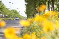 濉溪縣四鋪鎮(zhèn)：鋪好鄉(xiāng)村“幸福路” 暢通致富“快車道”