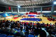 2024年臨泉縣中小學生武術套路比賽開賽  571人參與角逐