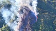 溫州一地突發山火！當地鎮政府：近百人正在全力滅火