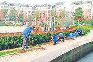 看，一個20多年老小區業主的幸福感——長城物業都市清華項目黨建引領小區治理紀實