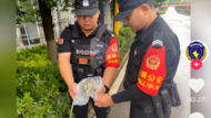一牛蛙影響高考被抓，網友：它招了嗎？