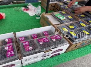 从按克卖到按斤卖 合肥市场蓝莓品种众多 品质不一价格差异大