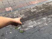 追蹤丨合肥淠河路破損地磚已全部修復