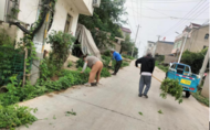 小溪鎮(zhèn)：清理雜草，美化道路環(huán)境