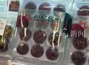 多地杨梅“争鲜”合肥市场 品质不一价格差异大