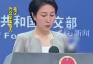 外交部回應胡友平見義勇為不幸離世 體現了中國人民的善良和勇敢