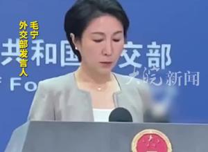外交部回应胡友平见义勇为不幸离世 体现了中国人民的善良和勇敢