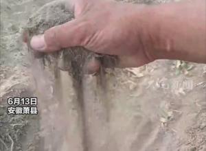 皖北有望“解渴”！19日起安徽或迎大面积降水