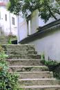 魏振强：表弟宗轩