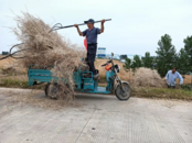 临北回族乡临北回族村：全面清理秸秆杂物 助推人居环境提升