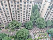 合肥市部分地區出現強降水
