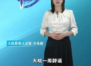 大皖一周辟谣 2024年第二十三期
