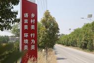 濉溪縣四鋪鎮：“四美”建設描繪鄉村振興新畫卷