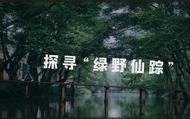探尋“綠野仙蹤”