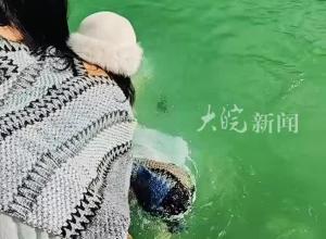 景区内一女孩不慎落水
小伙儿一声“我来”立刻跳水救人
“上岸后浑身湿透 手机还在裤兜里”