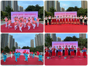 老有所學(xué)展風(fēng)采 靚麗夕陽(yáng)暖民心