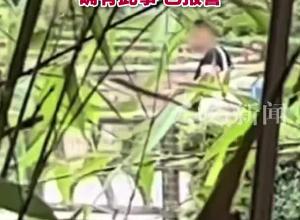 男子用弹弓射老虎？江苏淮安市动物园：确有此事，已报警