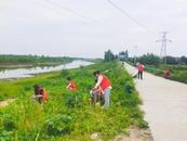 懷寧縣江鎮鎮開展河道清理整治行動 