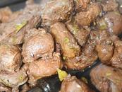合肥牛肉價(jià)格緣何下跌？