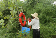 夏日炎炎，安全為先——暑期防溺水望城街道在行動