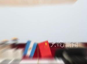 欢迎回家！阿根廷向我国返还14件文物艺术品