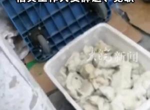 擀面皮加工场所被曝卫生环境差 胖东来:奖励投诉顾客10万元 购买的顾客退款 补偿1000元 相关工作人员辞退、免职