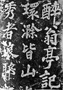 祝俊生：琅琊山看石刻