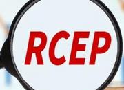 合肥多個企業在RCEP成員國建廠生產“新三樣”