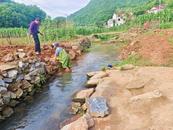 懷寧縣江鎮(zhèn)鎮(zhèn)新合村：河道整治 扮靚鄉(xiāng)村