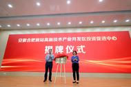 “招商局”变身“科技投行” ，合肥新站这招你看懂了吗？