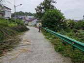懷寧縣江鎮鎮：道路清障護安全