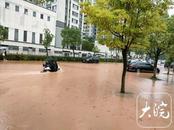 部分路段積水深度超標！黃山市公交將逐步恢復中心城區線路運營