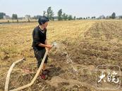 一排灌站每天提水80萬方澆農田 阜陽啟動抗旱四級應急響應
