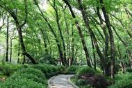 合肥公交新開(kāi)兩條親水公交旅游專線